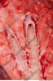 RAW meat pork 0073
